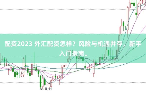 配资2023 外汇配资怎样？风险与机遇并存，新手入门指南。