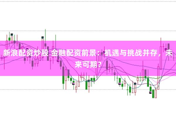 新浪配资炒股 金融配资前景：机遇与挑战并存，未来可期？