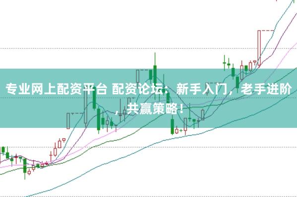 专业网上配资平台 配资论坛：新手入门，老手进阶，共赢策略！