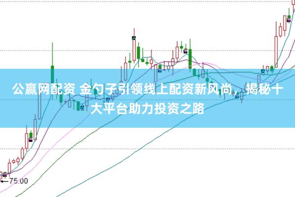 公赢网配资 金勺子引领线上配资新风尚，揭秘十大平台助力投资之路