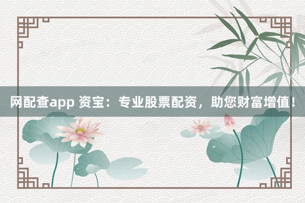 网配查app 资宝：专业股票配资，助您财富增值！