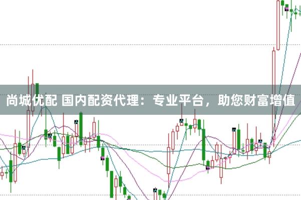 尚城优配 国内配资代理：专业平台，助您财富增值