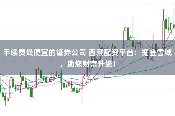 手续费最便宜的证券公司 西藏配资平台:掘金雪域,助您财富升级!