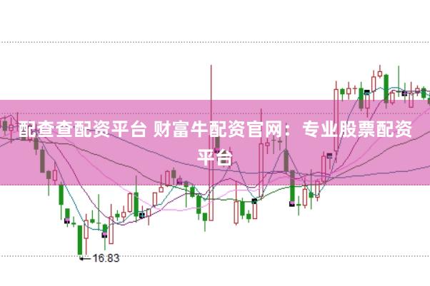 配查查配资平台 财富牛配资官网：专业股票配资平台