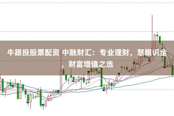 牛跟投股票配资 中融财汇：专业理财，慧眼识金，财富增值之选