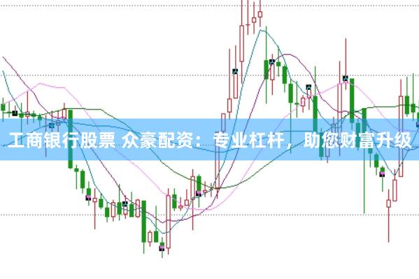 工商银行股票 众豪配资：专业杠杆，助您财富升级