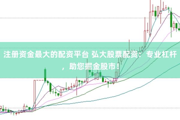 注册资金最大的配资平台 弘大股票配资：专业杠杆，助您掘金股市！