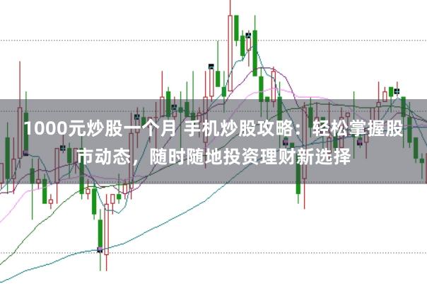 1000元炒股一个月 手机炒股攻略：轻松掌握股市动态，随时随地投资理财新选择