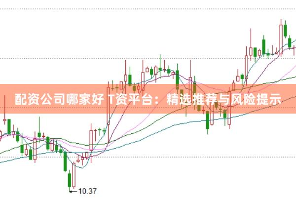 配资公司哪家好 T资平台：精选推荐与风险提示