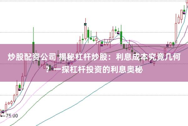 炒股配资公司 揭秘杠杆炒股：利息成本究竟几何？一探杠杆投资的利息奥秘