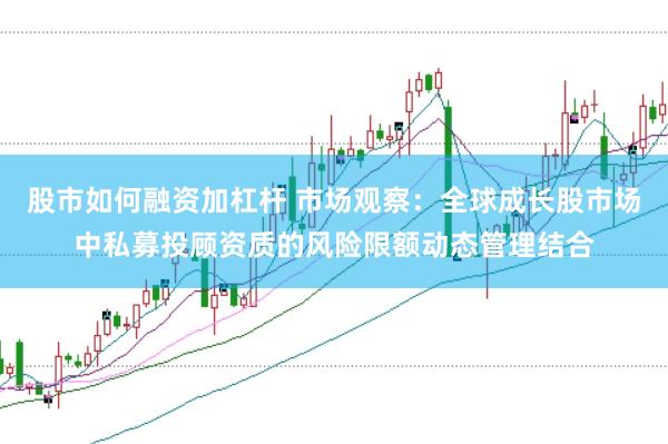 股市如何融资加杠杆 市场观察：全球成长股市场中私募投顾资质的风险限额动态管理结合
