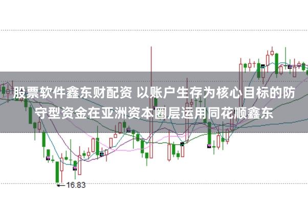 股票软件鑫东财配资 以账户生存为核心目标的防守型资金在亚洲资本圈层运用同花顺鑫东