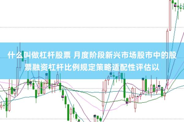 什么叫做杠杆股票 月度阶段新兴市场股市中的股票融资杠杆比例规定策略适配性评估以