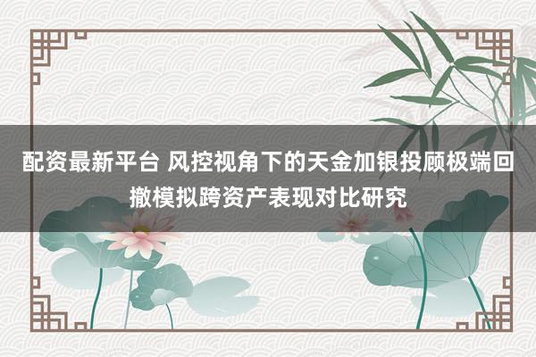 配资最新平台 风控视角下的天金加银投顾极端回撤模拟跨资产表现对比研究