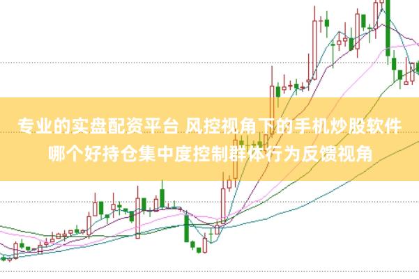 专业的实盘配资平台 风控视角下的手机炒股软件哪个好持仓集中度控制群体行为反馈视角