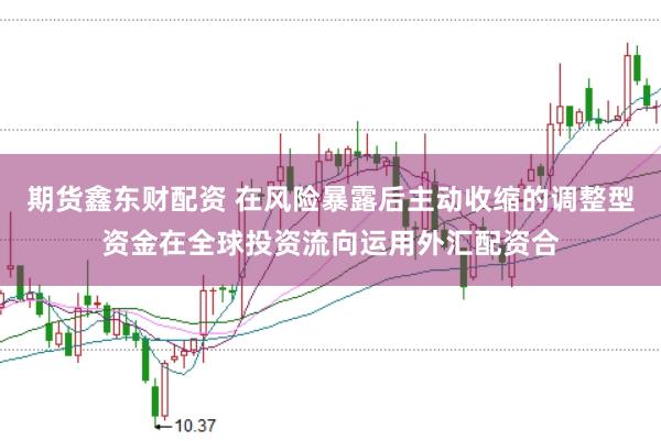 期货鑫东财配资 在风险暴露后主动收缩的调整型资金在全球投资流向运用外汇配资合
