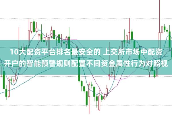 10大配资平台排名最安全的 上交所市场中配资开户的智能预警规则配置不同资金属性行为对照视