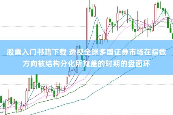 股票入门书籍下载 透视全球多国证券市场在指数方向被结构分化所掩盖的时期的盘面环