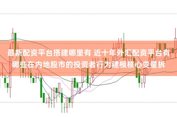 最新配资平台搭建哪里有 近十年外汇配资平台有哪些在内地股市的投资者行为建模核心变量拆