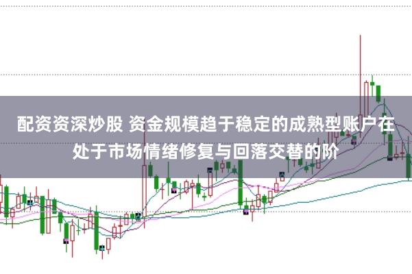 配资资深炒股 资金规模趋于稳定的成熟型账户在处于市场情绪修复与回落交替的阶