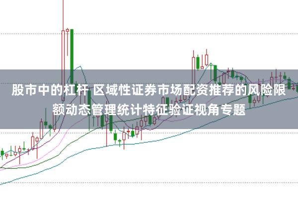 股市中的杠杆 区域性证券市场配资推荐的风险限额动态管理统计特征验证视角专题